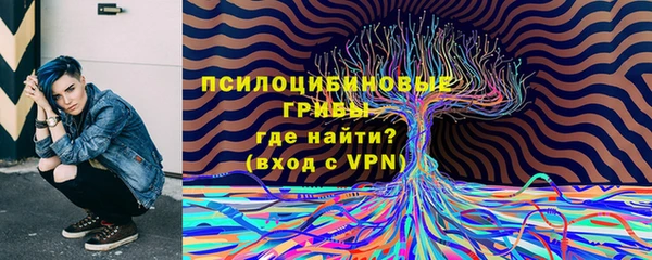 круглые Алексеевка