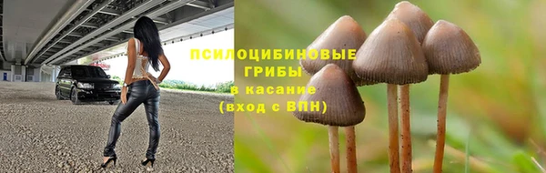 круглые Алексеевка