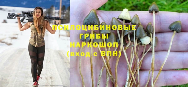 бутират Алексин