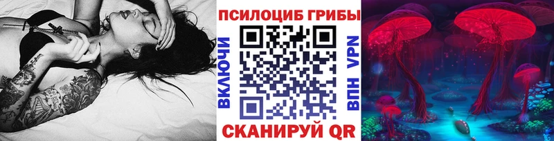 купить   Апатиты  Псилоцибиновые грибы MAGIC MUSHROOMS 