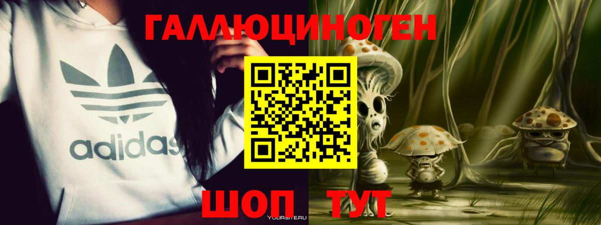 Галлюциногенные грибы Psilocybe Апатиты